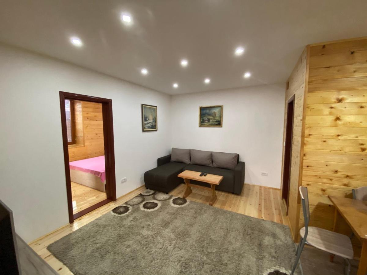 Stara Kuca Apartment Mokra Gora Luaran gambar