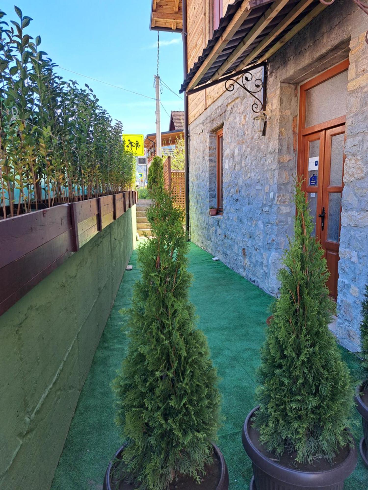 Stara Kuca Apartment Mokra Gora Luaran gambar